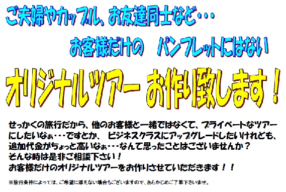 ���������̗��s������A���̂��q�l�ƈꏏ�ł͂Ȃ��āA�v���C�x�[�g�ȃc�A�[