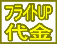 �i���q�󌔃Z�b�g�v����