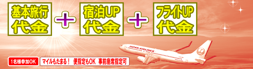 �i���q�󌔃Z�b�g�v����