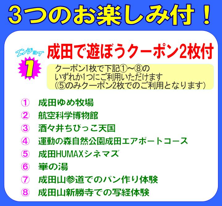 �ċx�݊i�����s