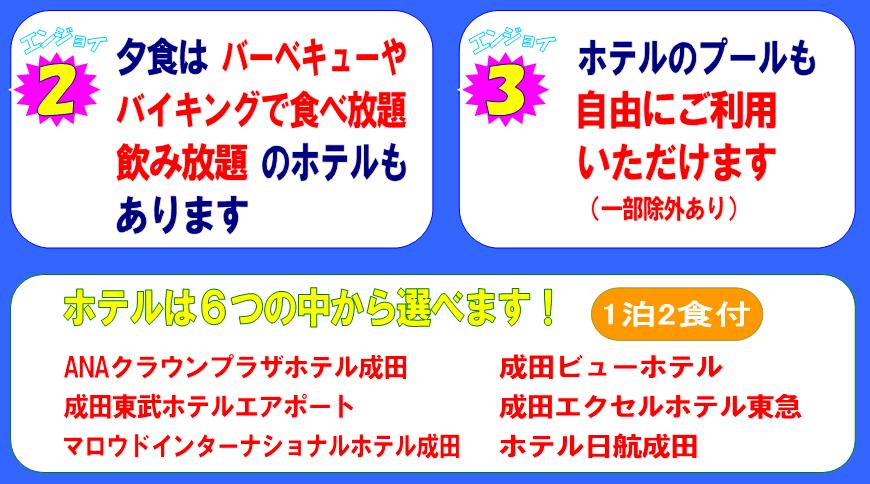 �ċx�݊i�����s