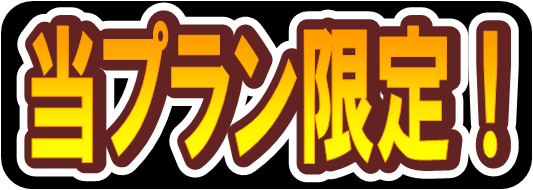 プラン限定 プラン限定