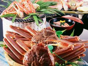 ���쑑���I��