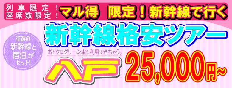 ���ˊi���V�����c�A�[