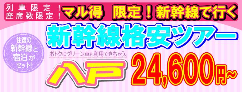 ���ˊi���V�����c�A�[