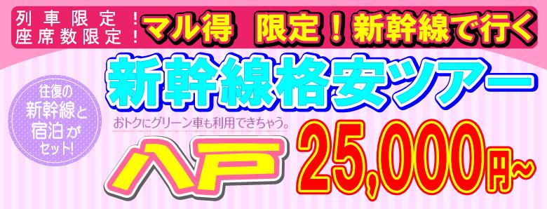 ���ˊi���V�����c�A�[