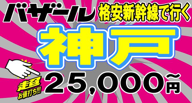 �_�ˊi���V�����c�A�[