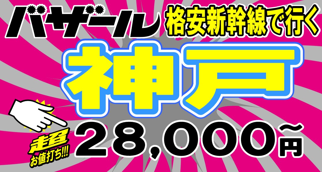 �_�ˊi���V�����c�A�[