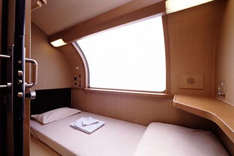 �V���O��