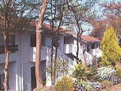 �i����ݕʑ��⁕��R���h�~�j�A���⃉�t�H�[���C�P��