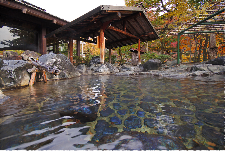 �O���[�v�ݐ؃o�X�ōs���@�X�L�[���X�m�{�c�A�[